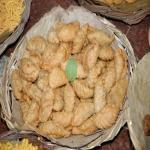 Vraj-Yatra-2014- (836)